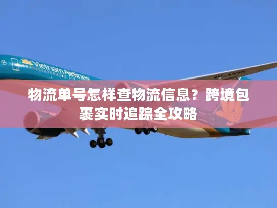物流单号怎样查物流信息？跨境包裹实时追踪全攻略