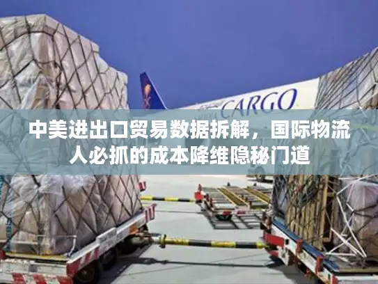 中美进出口贸易数据拆解，国际物流人必抓的成本降维隐秘门道