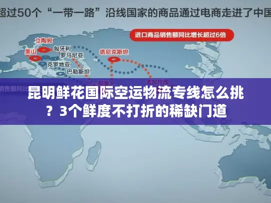 昆明鲜花国际空运物流专线怎么挑？3个鲜度不打折的稀缺门道