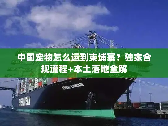 中国宠物怎么运到柬埔寨？独家合规流程+本土落地全解