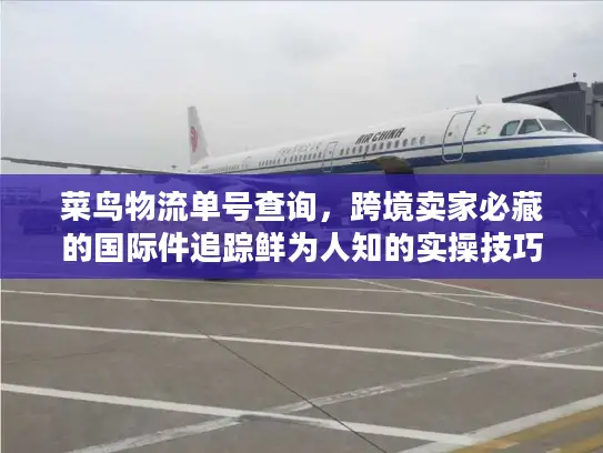 菜鸟物流单号查询，跨境卖家必藏的国际件追踪鲜为人知的实操技巧