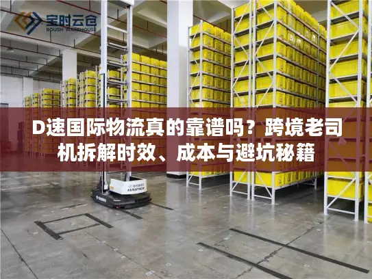 D速国际物流真的靠谱吗？跨境老司机拆解时效、成本与避坑秘籍