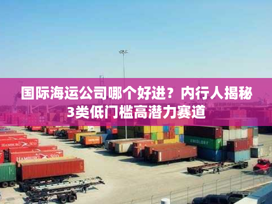 国际海运公司哪个好进？内行人揭秘3类低门槛高潜力赛道