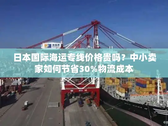 日本国际海运专线价格贵吗？中小卖家如何节省30%物流成本
