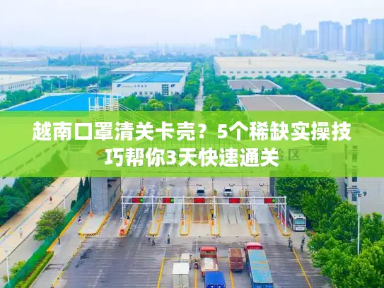 越南口罩清关卡壳？5个稀缺实操技巧帮你3天快速通关