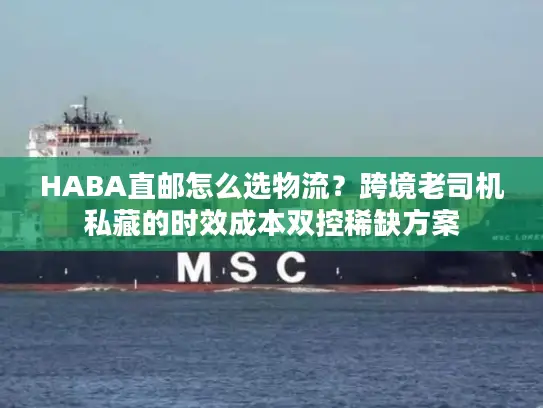 HABA直邮怎么选物流？跨境老司机私藏的时效成本双控稀缺方案