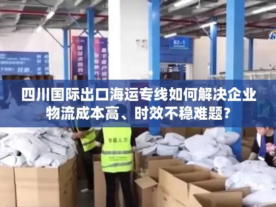 四川国际出口海运专线如何解决企业物流成本高、时效不稳难题？