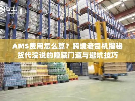 AMS费用怎么算？跨境老司机揭秘货代没说的隐藏门道与避坑技巧