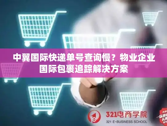 中翼国际快递单号查询慢？物业企业国际包裹追踪解决方案