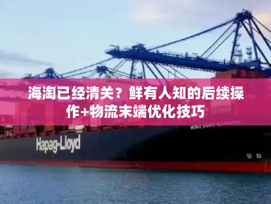 海淘已经清关？鲜有人知的后续操作+物流末端优化技巧