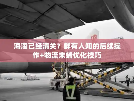 海淘已经清关？鲜有人知的后续操作+物流末端优化技巧