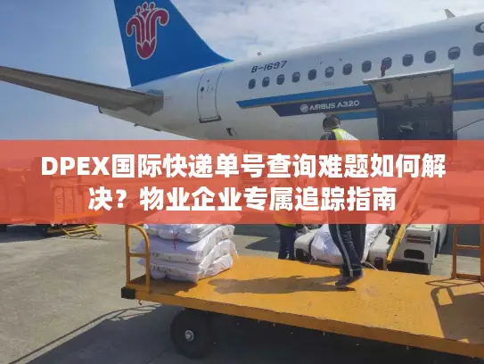 DPEX国际快递单号查询难题如何解决？物业企业专属追踪指南