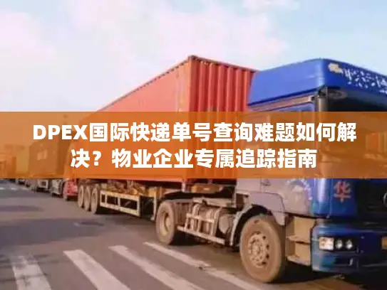 DPEX国际快递单号查询难题如何解决？物业企业专属追踪指南