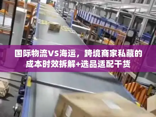 国际物流VS海运，跨境商家私藏的成本时效拆解+选品适配干货