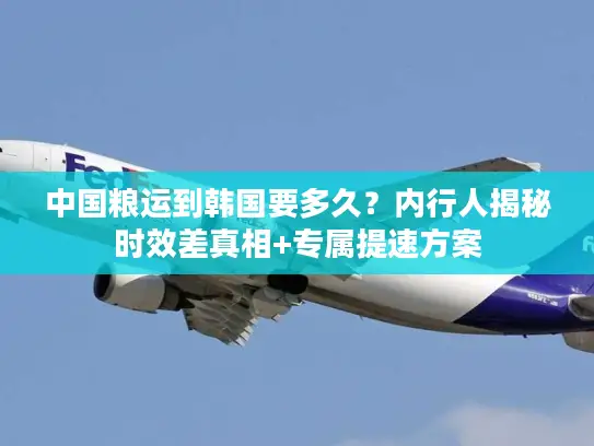 中国粮运到韩国要多久？内行人揭秘时效差真相+专属提速方案
