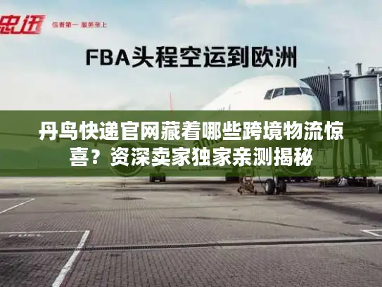 丹鸟快递官网藏着哪些跨境物流惊喜？资深卖家独家亲测揭秘