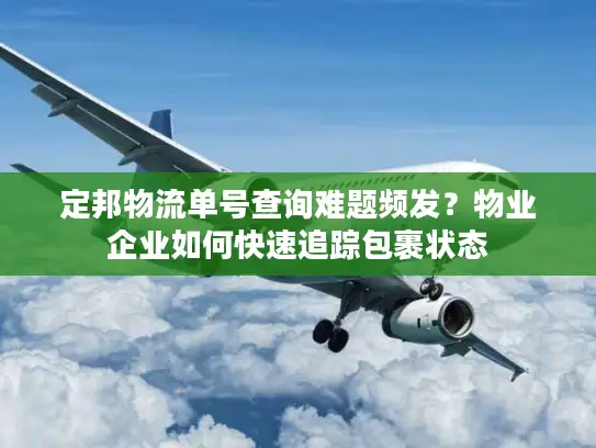 定邦物流单号查询难题频发？物业企业如何快速追踪包裹状态