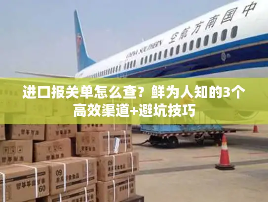进口报关单怎么查？鲜为人知的3个高效渠道+避坑技巧