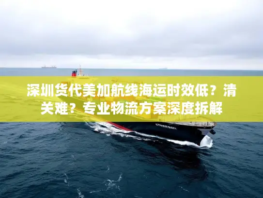 深圳货代美加航线海运时效低？清关难？专业物流方案深度拆解