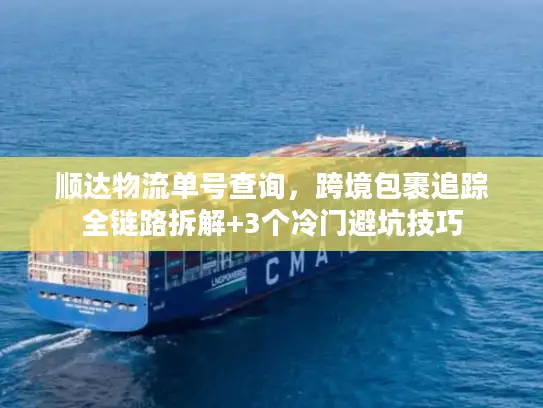 顺达物流单号查询，跨境包裹追踪全链路拆解+3个冷门避坑技巧