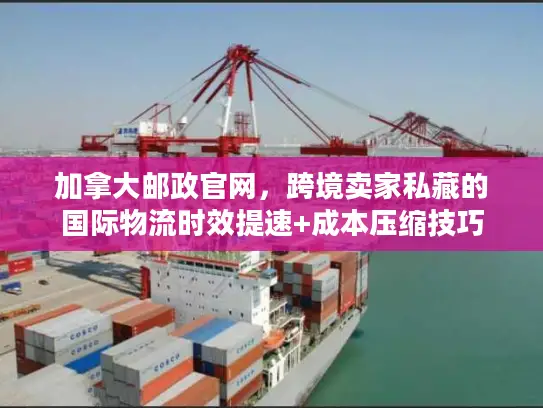 加拿大邮政官网，跨境卖家私藏的国际物流时效提速+成本压缩技巧