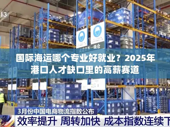 国际海运哪个专业好就业？2025年港口人才缺口里的高薪赛道