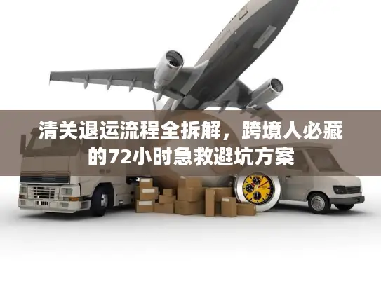 清关退运流程全拆解，跨境人必藏的72小时急救避坑方案