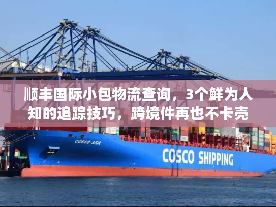顺丰国际小包物流查询，3个鲜为人知的追踪技巧，跨境件再也不卡壳