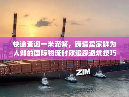 快递查询一米滴答，跨境卖家鲜为人知的国际物流时效追踪避坑技巧