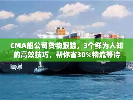 CMA船公司货物跟踪，3个鲜为人知的高效技巧，帮你省30%物流等待时间