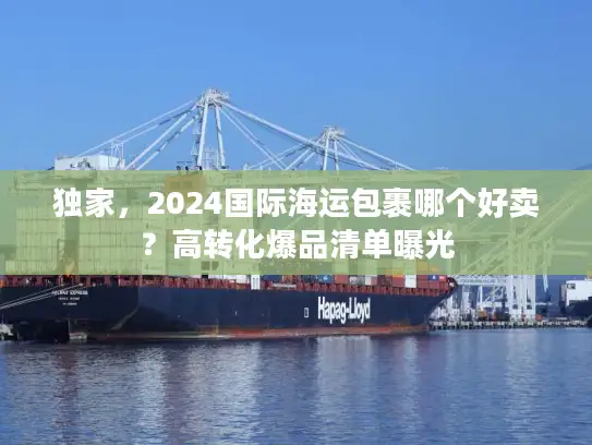 独家，2024国际海运包裹哪个好卖？高转化爆品清单曝光