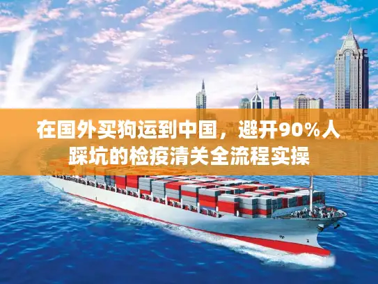 在国外买狗运到中国，避开90%人踩坑的检疫清关全流程实操