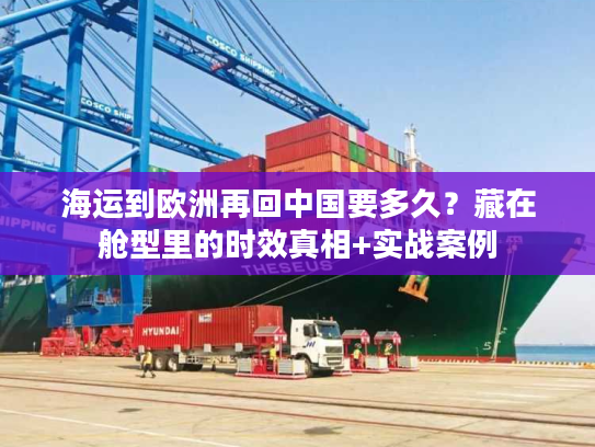 海运到欧洲再回中国要多久？藏在舱型里的时效真相+实战案例