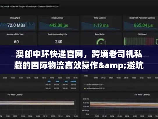 澳邮中环快递官网，跨境老司机私藏的国际物流高效操作&避坑秘籍