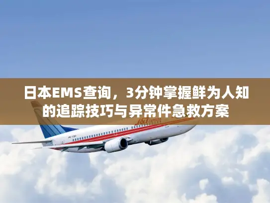 日本EMS查询，3分钟掌握鲜为人知的追踪技巧与异常件急救方案