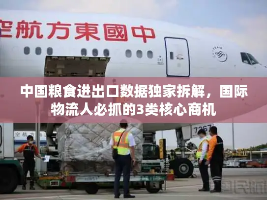 中国粮食进出口数据独家拆解，国际物流人必抓的3类核心商机