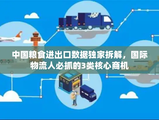 中国粮食进出口数据独家拆解，国际物流人必抓的3类核心商机