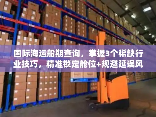国际海运船期查询，掌握3个稀缺行业技巧，精准锁定舱位+规避延误风险