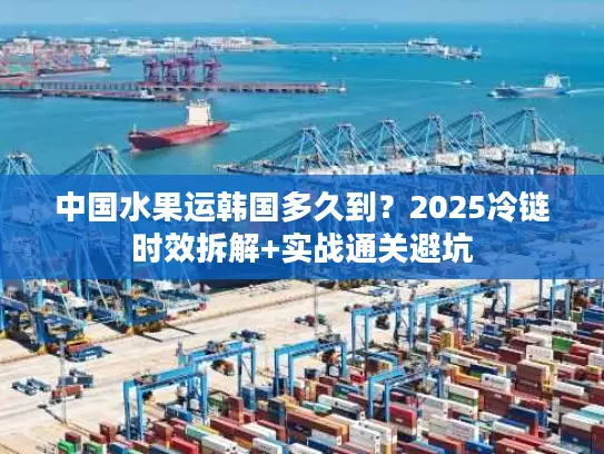 中国水果运韩国多久到？2025冷链时效拆解+实战通关避坑