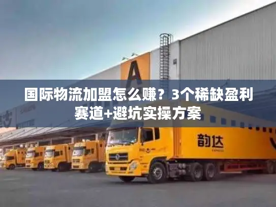 国际物流加盟怎么赚？3个稀缺盈利赛道+避坑实操方案