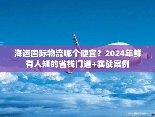 海运国际物流哪个便宜？2024年鲜有人知的省钱门道+实战案例