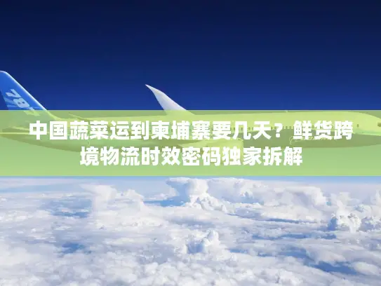 中国蔬菜运到柬埔寨要几天？鲜货跨境物流时效密码独家拆解