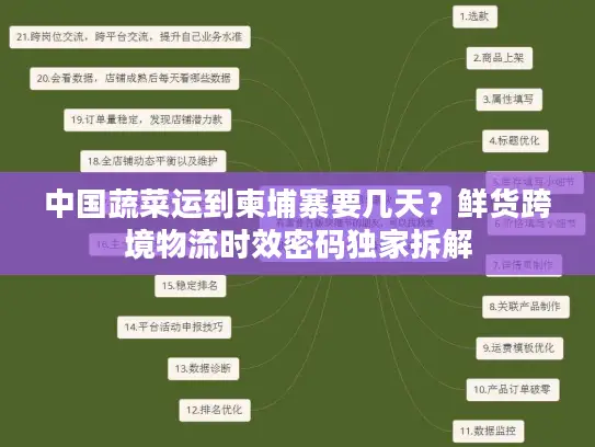 中国蔬菜运到柬埔寨要几天？鲜货跨境物流时效密码独家拆解