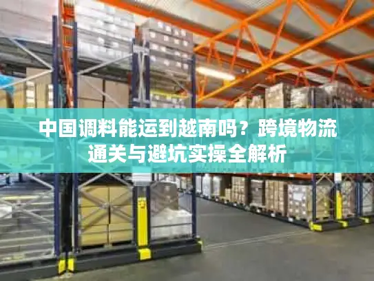 中国调料能运到越南吗？跨境物流通关与避坑实操全解析