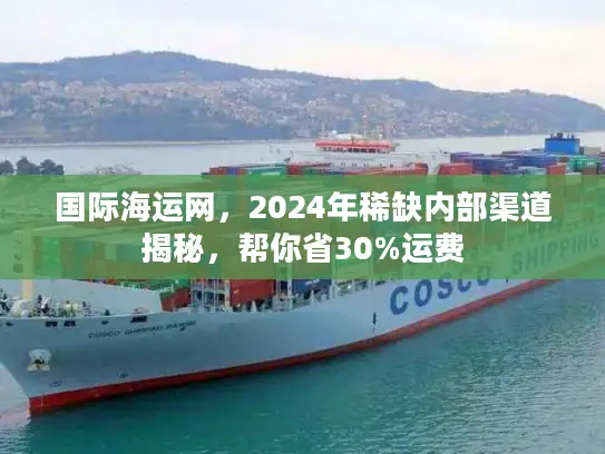 国际海运网，2024年稀缺内部渠道揭秘，帮你省30%运费