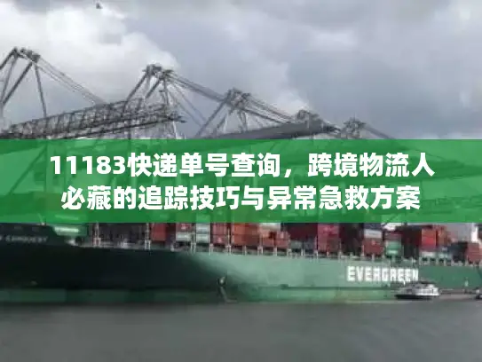 11183快递单号查询，跨境物流人必藏的追踪技巧与异常急救方案