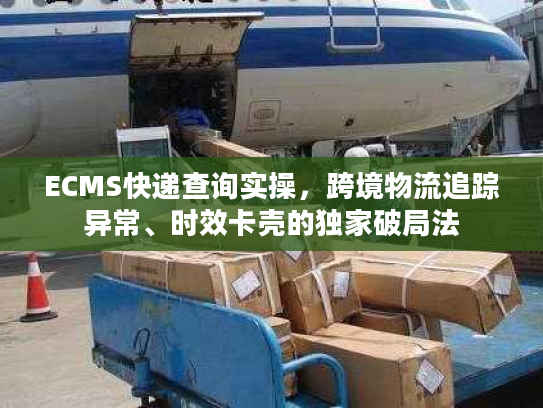 ECMS快递查询实操，跨境物流追踪异常、时效卡壳的独家破局法