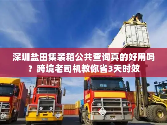 深圳盐田集装箱公共查询真的好用吗？跨境老司机教你省3天时效