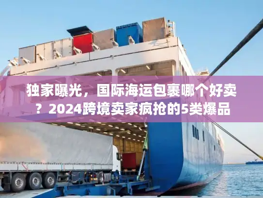 独家曝光，国际海运包裹哪个好卖？2024跨境卖家疯抢的5类爆品