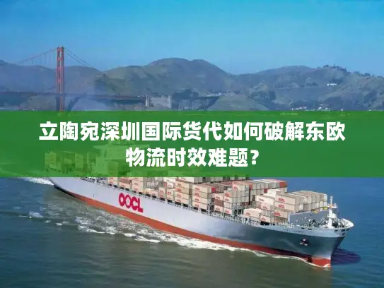 立陶宛深圳国际货代如何破解东欧物流时效难题？